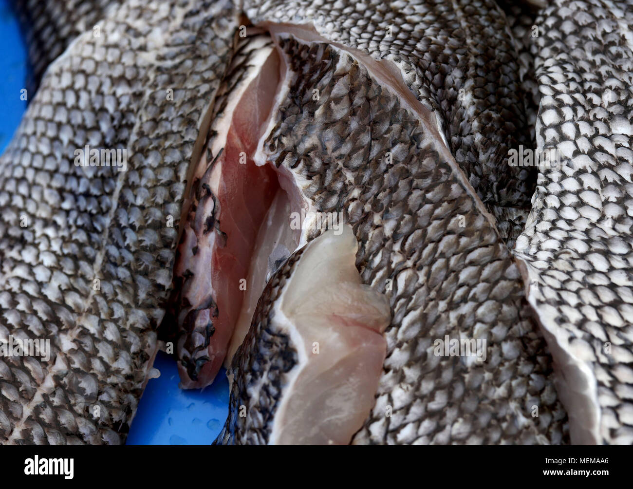 Black Sea bass al mercato del pesce Foto Stock