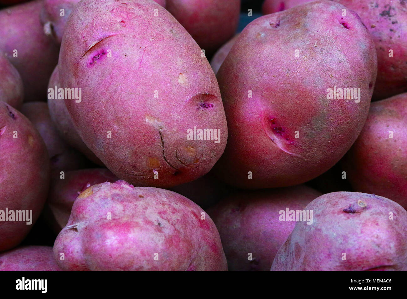 NY118 Patate visto al mercato agricolo Foto Stock
