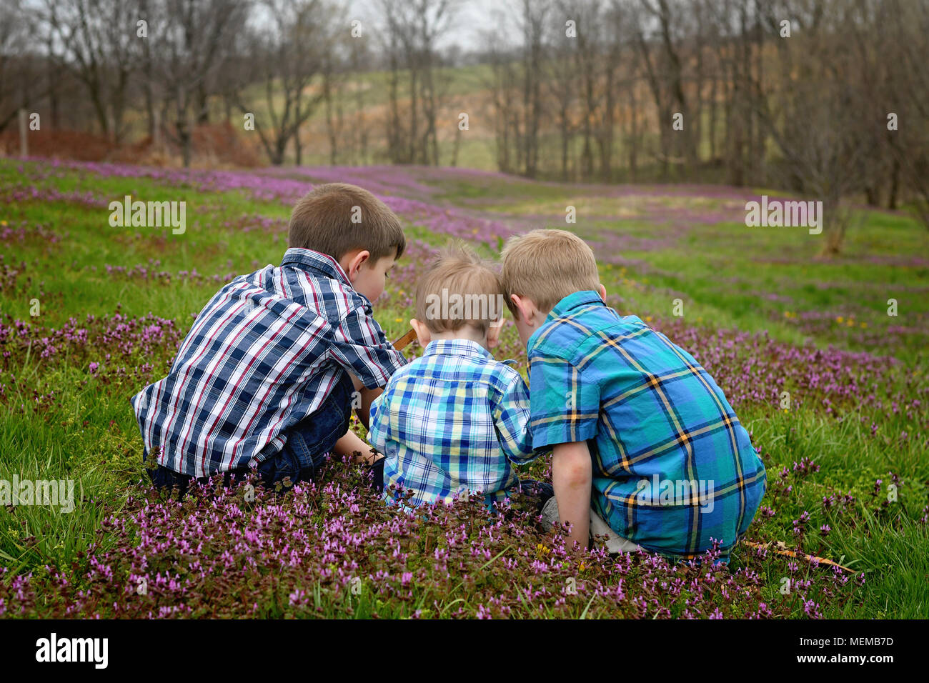 Tre fratelli dorsi insieme guardando a fiori di primavera in un campo Paese Foto Stock Tre fratelli dorsi insieme guardando a fiori di primavera in un campo Paese Foto Stock