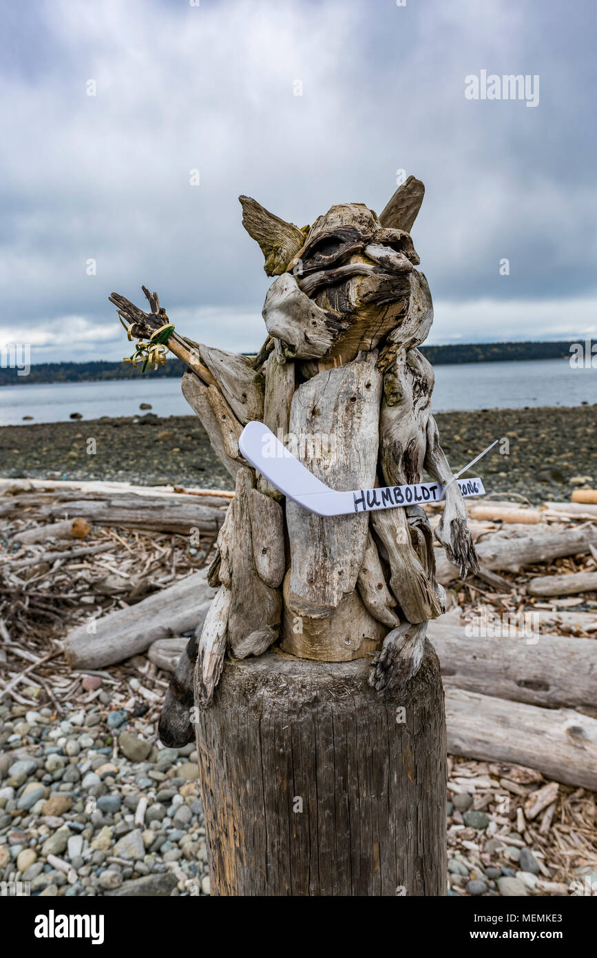 Driftwood raccoon scultura sulla spiaggia, Campbell River, British Columbia, Canada. Foto Stock