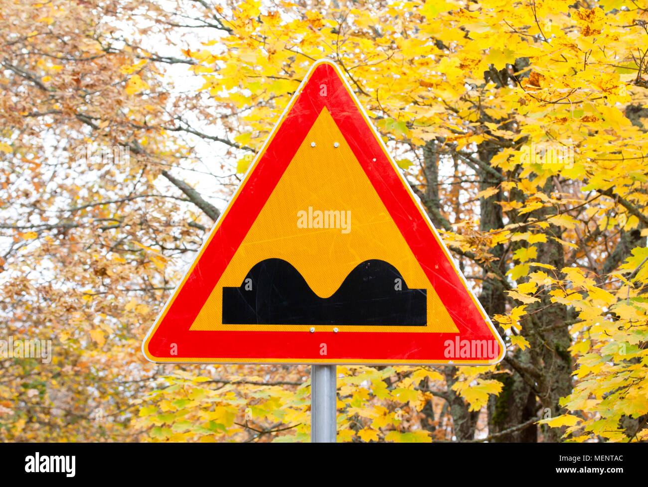 Su strada dissestata segno giallo su foglie di autunno sfondo Foto Stock