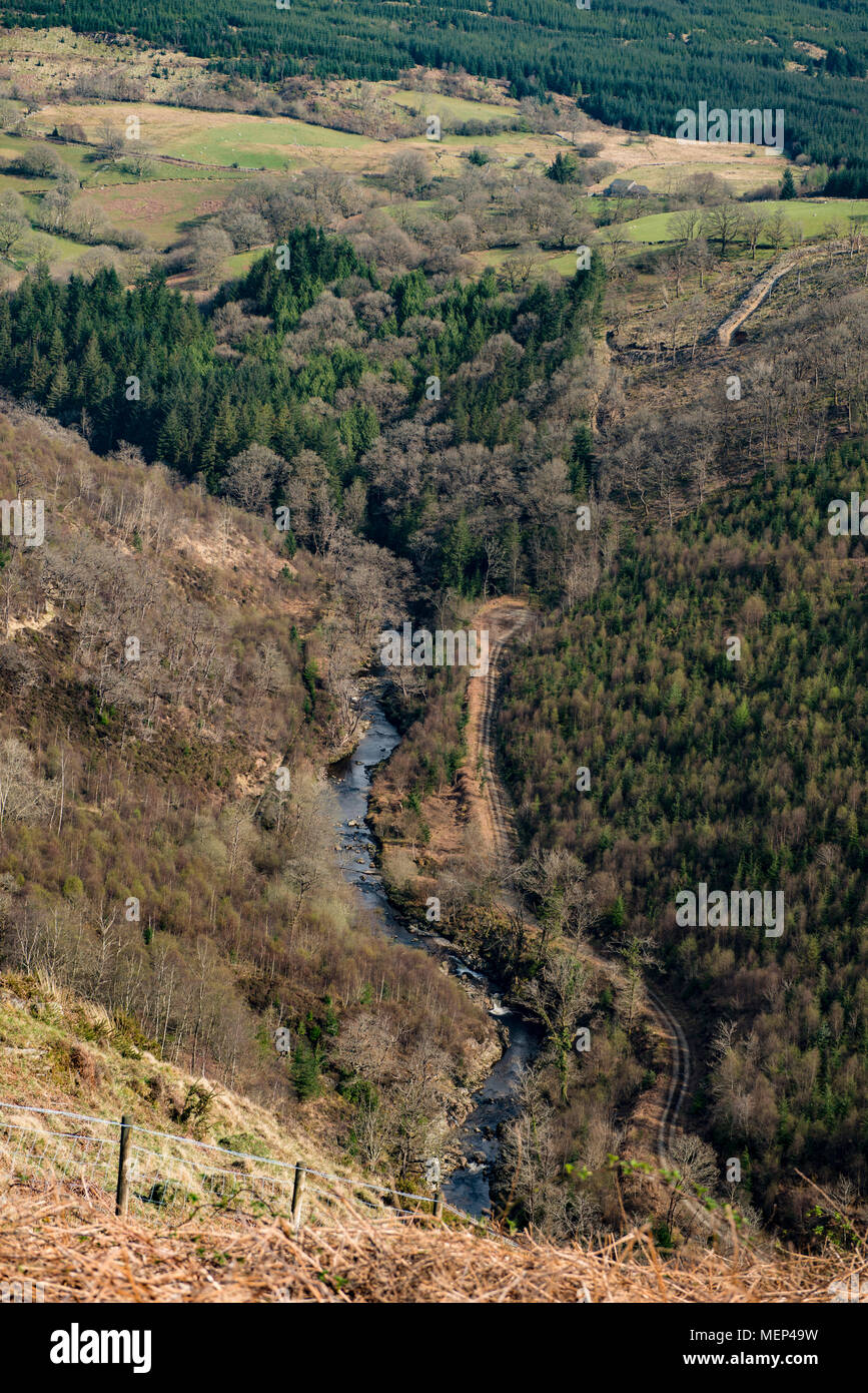 Afon Mawddach fluente attraverso Coed y Brenin nella zona sud del Parco Nazionale di Snowdonia (Parc Cenedlaethol Eryri) nella pittoresca contea di Gwyn Foto Stock