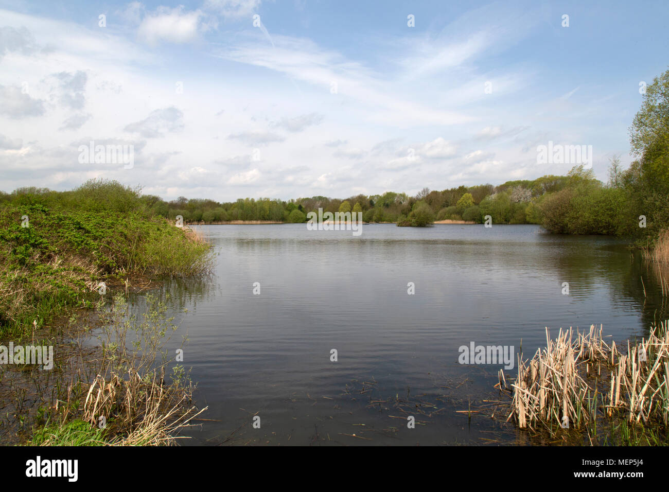 Watermead Country Park in Leicestershire, Inghilterra, una rete di laghi boschi e riserve naturali creati da 340 acri di lavorazioni di ghiaia. Foto Stock