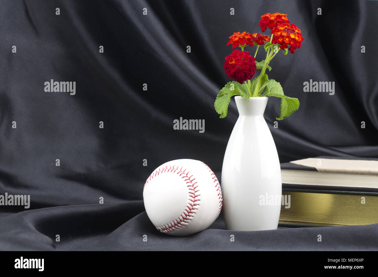 Posto di baseball con libri e red lantana in vaso bianco riflettono studioso di successo atleta formula per il rendimento scolastico Foto Stock
