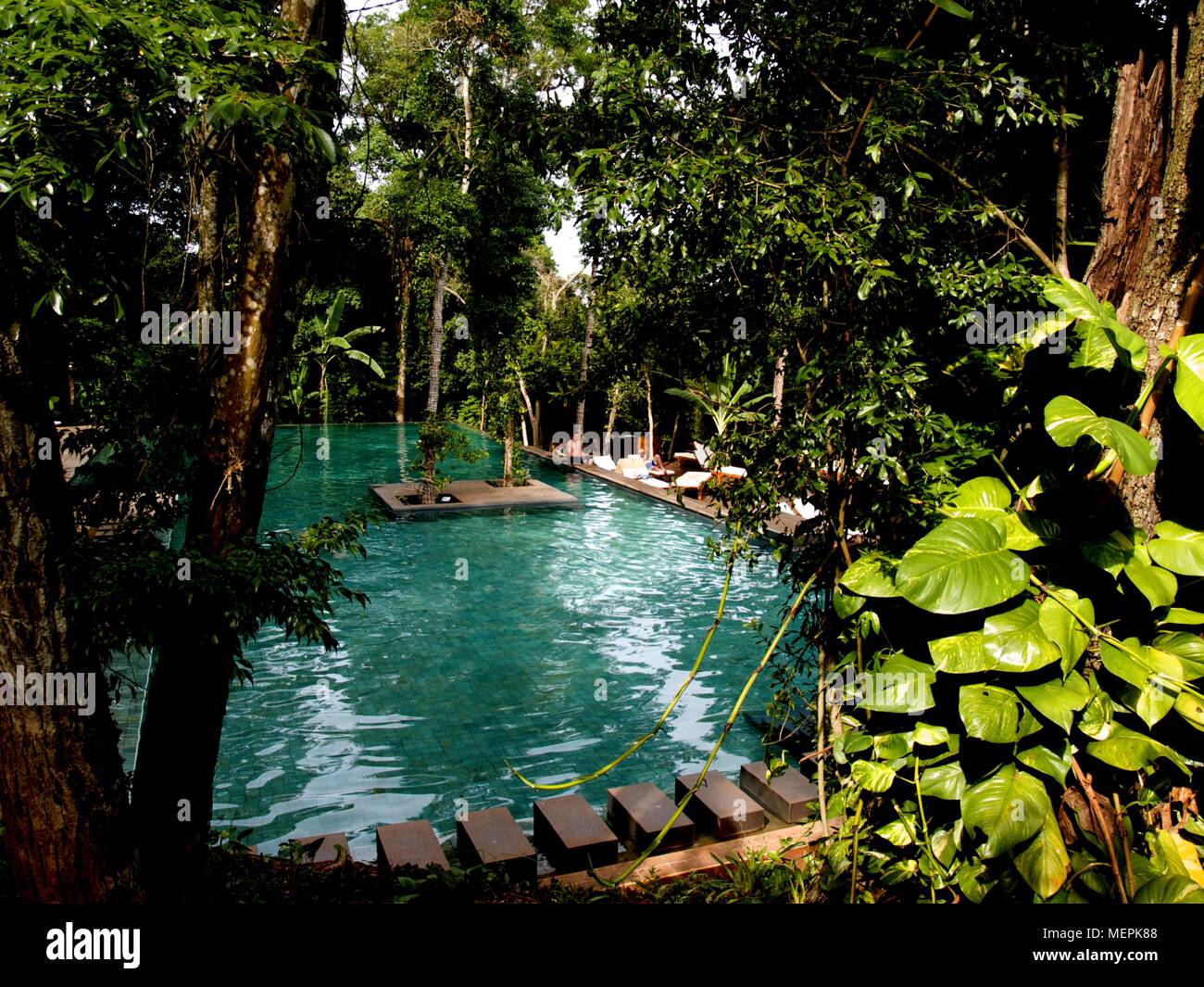 La foresta pluviale di Argentina - Cascate di Iguassù regione Foto Stock