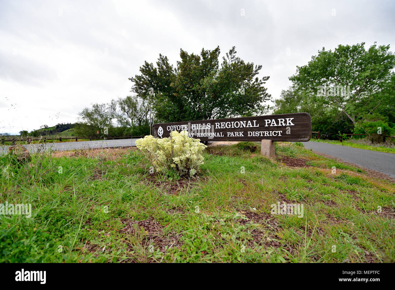 La bellezza naturale di Coyote Hill Parco Regionale, Fremont Foto Stock