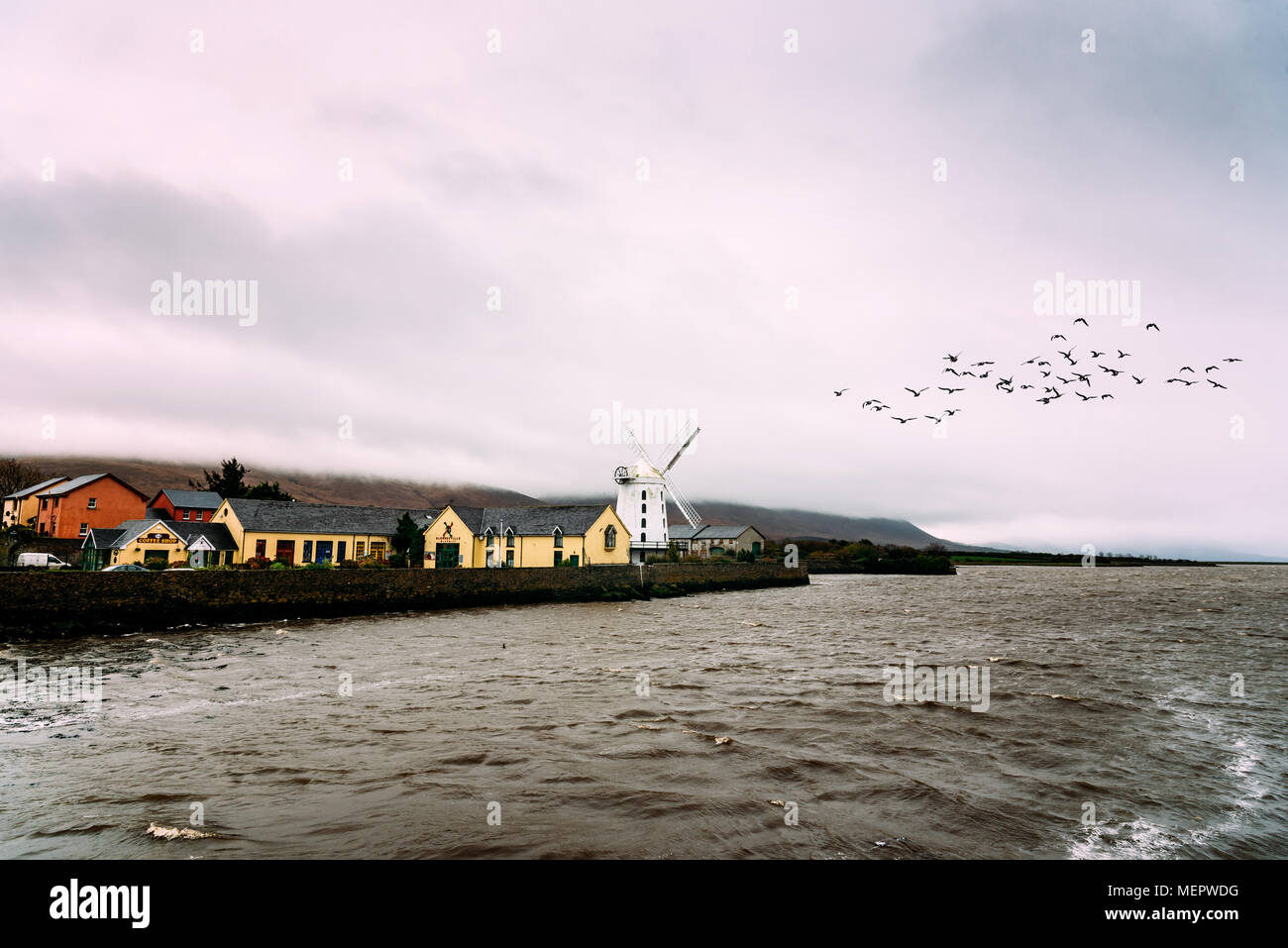 Tralee, Irlanda - 11 Novembre 2017: il mulino a vento in estuario di Tralee selvatici in modo Atlantico con stormo di uccelli marini contro il cielo nuvoloso Foto Stock