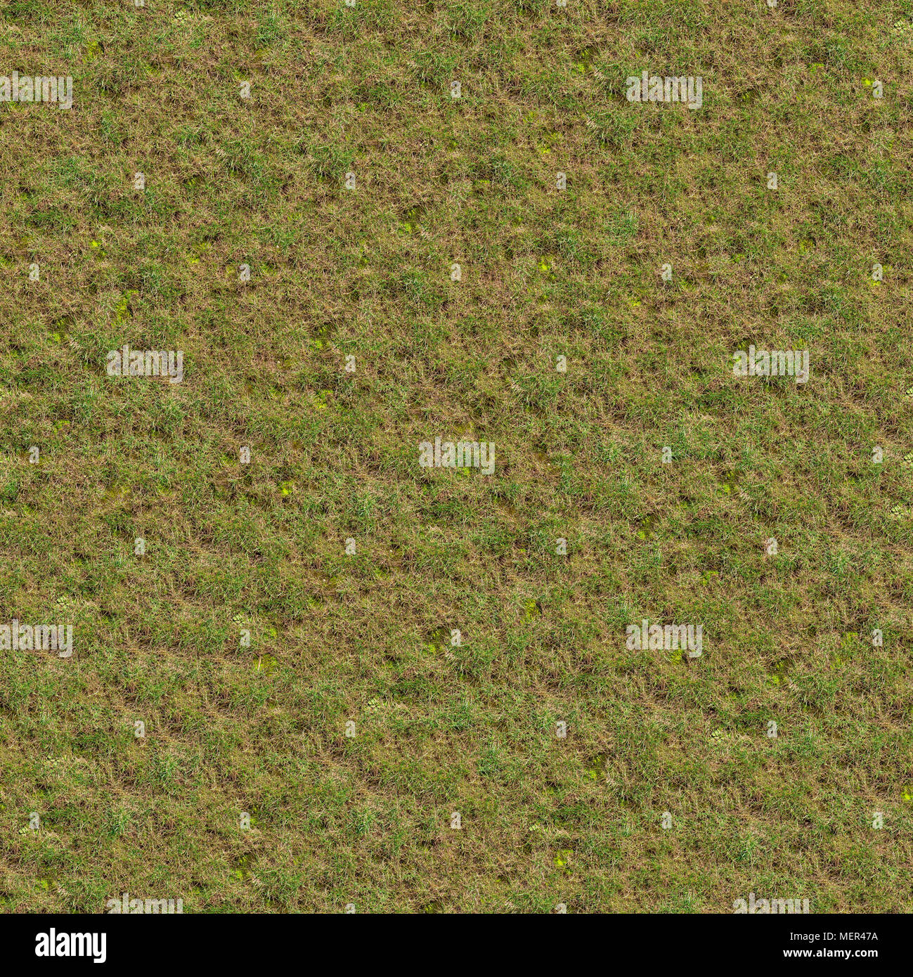 Seamless Texture della molla germinando erba. Foto Stock