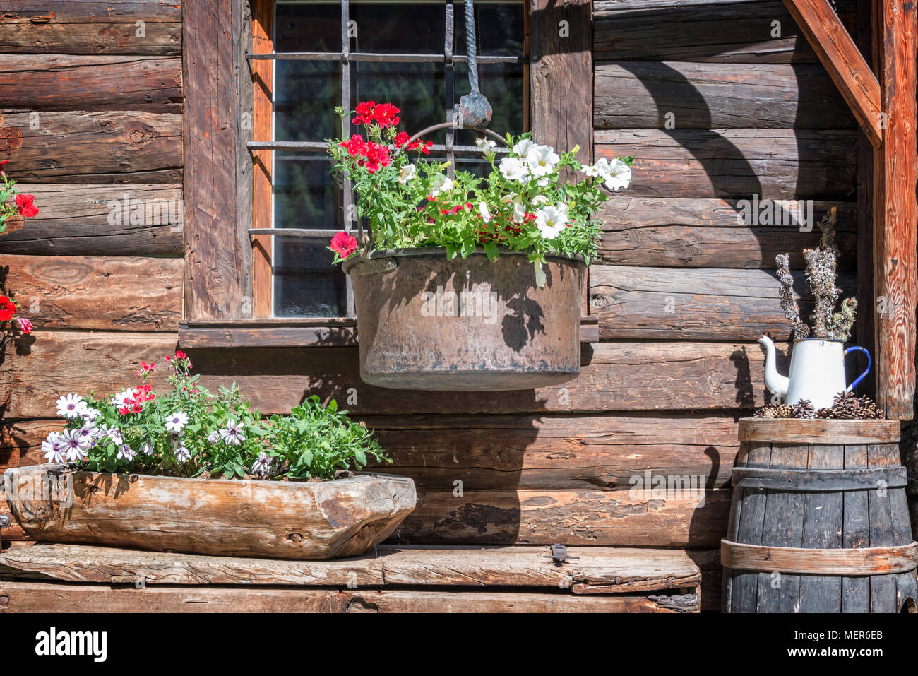 Petunia vasi di fiori sulla finestra di un rustico in legno log cabin nelle Alpi, Valle d'Aosta, Italia Foto Stock