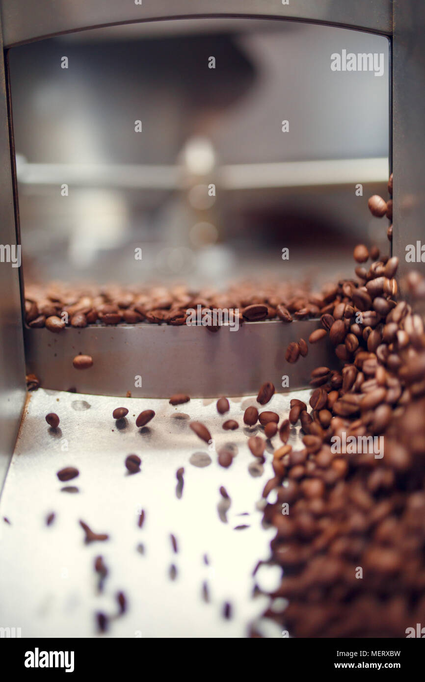 Foto di caduta di chicchi di caffè tostati dal tostatore Foto Stock