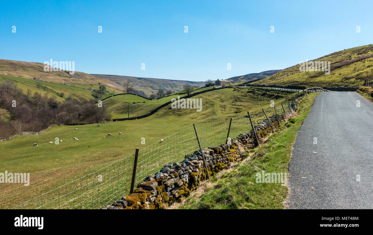 Vuoto B6270 strada in Swaledale su una bella giornata di sole, Yorkshire Dales, REGNO UNITO Foto Stock