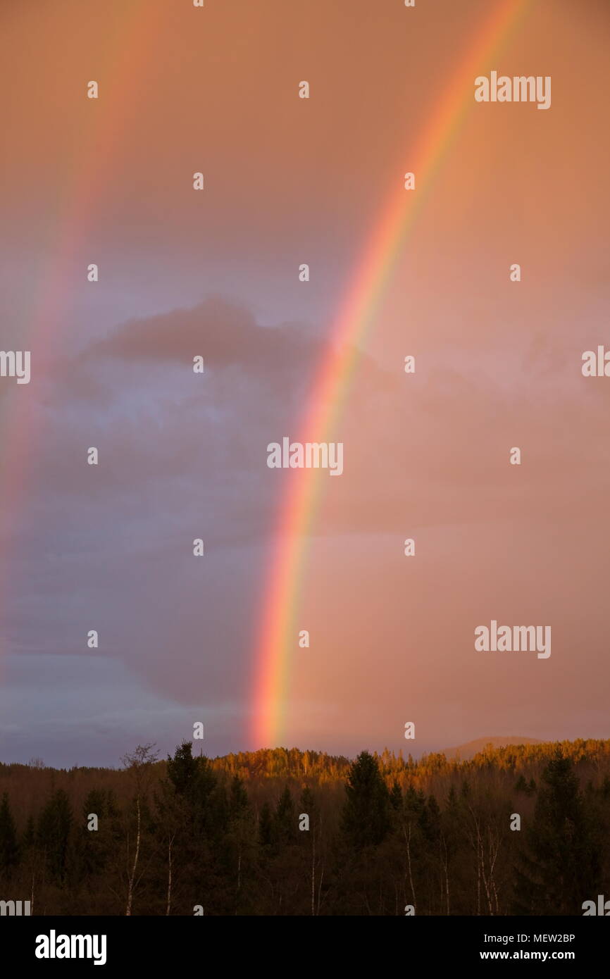 Doppio arcobaleno di fronte a un cielo rosa al tramonto in primavera Foto Stock