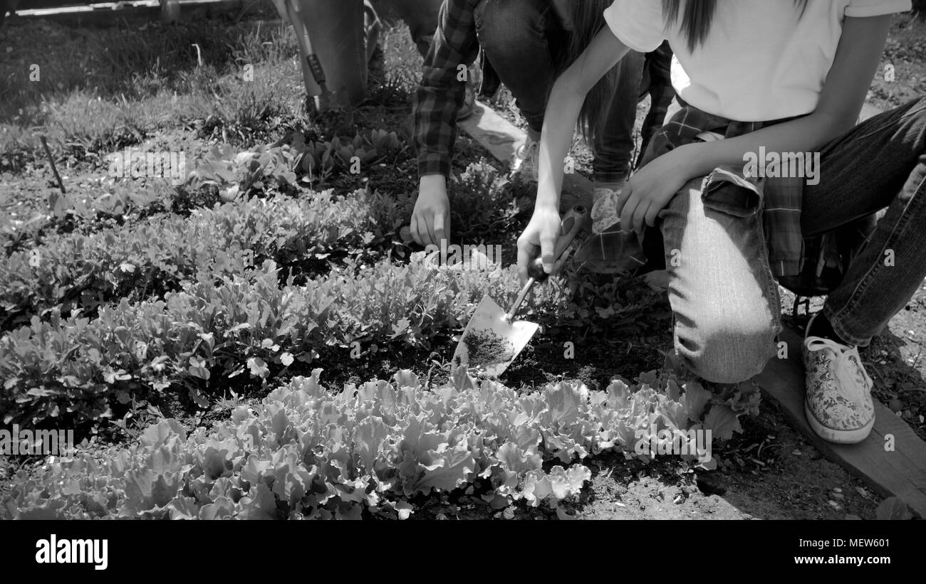 Foto in bianco e nero di famiglia che lavora in giardino con utensili da giardinaggio Foto Stock