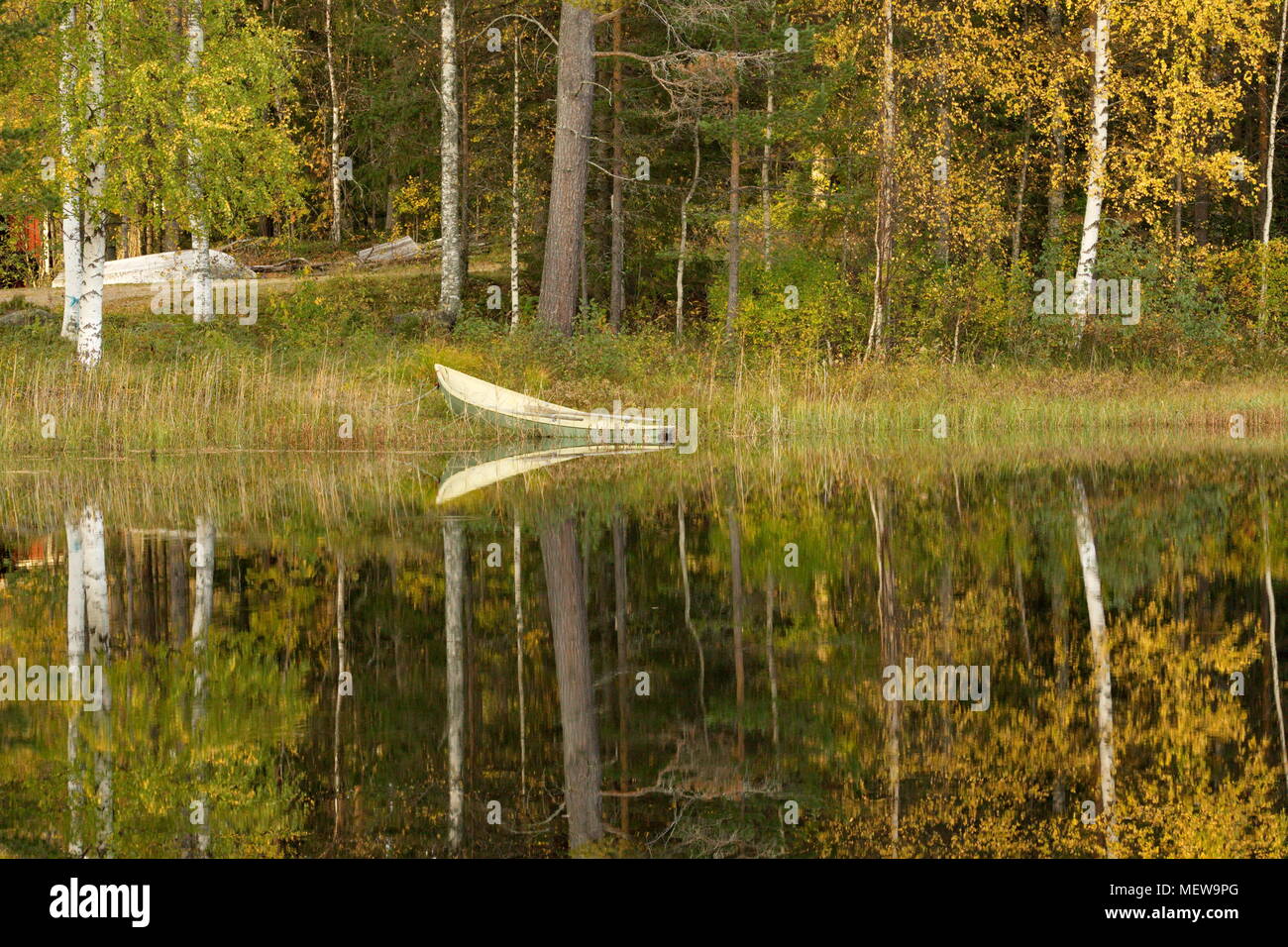 Una barca a remi si trova in attesa presso la riva del tranquillo lago di foresta in autunno Foto Stock