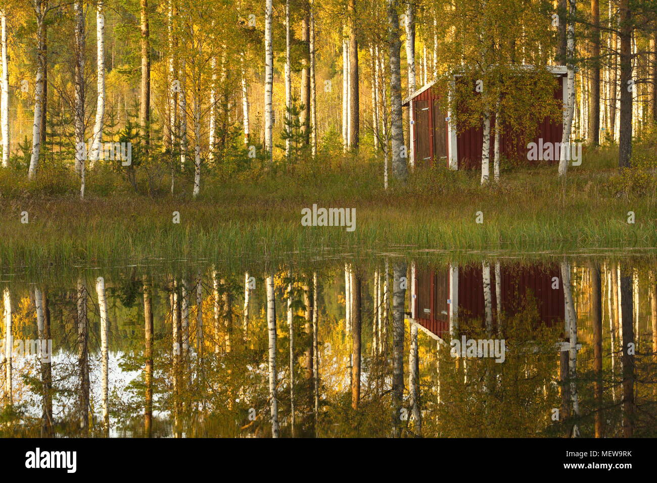 Un rosso baita in legno si riflette in una foresta calmo lago in autunno Foto Stock