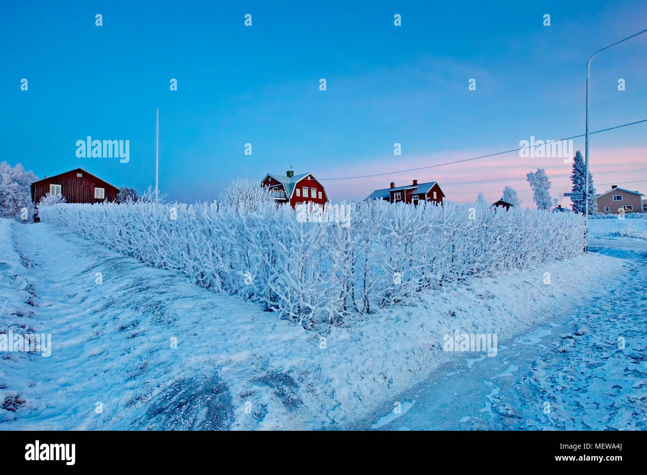 Brina copre un villaggio al blue ora in una fredda giornata invernale. Bredbyn, Västernorrlands Län (Svezia). Bredbyn, Västernorrlands Län, Svezia Foto Stock