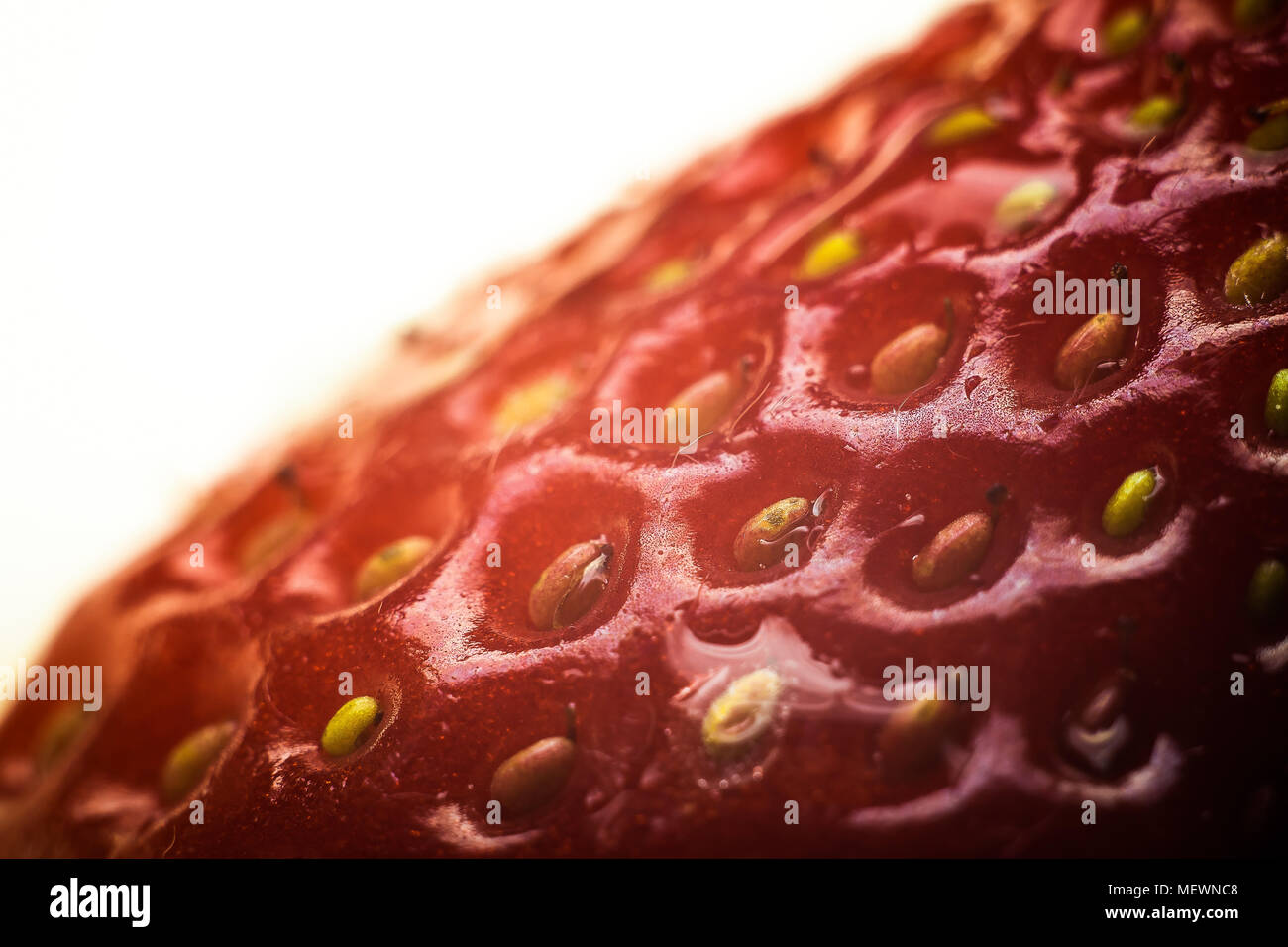 Dettaglio dei semi di una fragola rossa su uno sfondo bianco Foto Stock