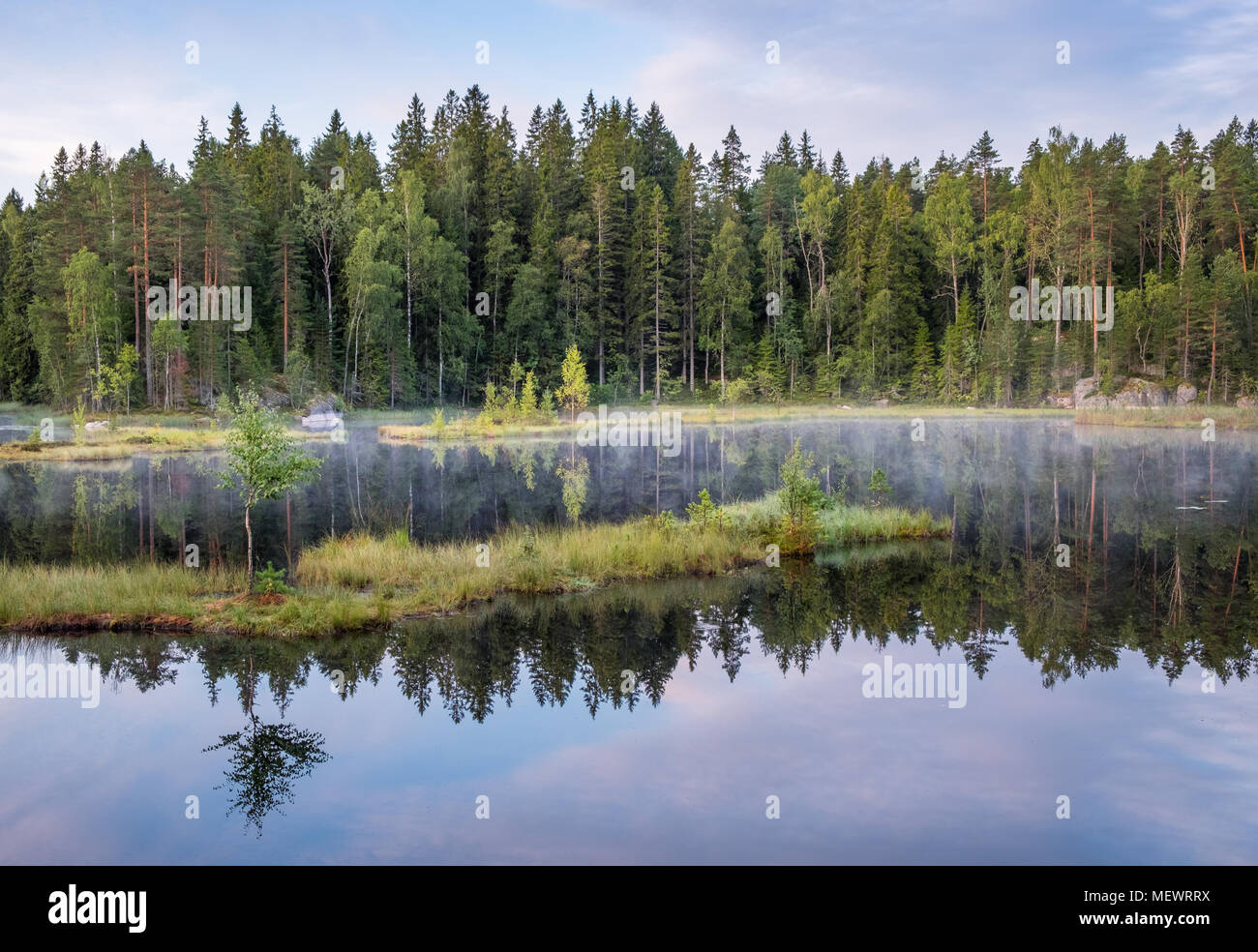 Paesaggio autunnale con riflessioni e nebbia a moody mattina in Nuuksio National Park, Finlandia Foto Stock
