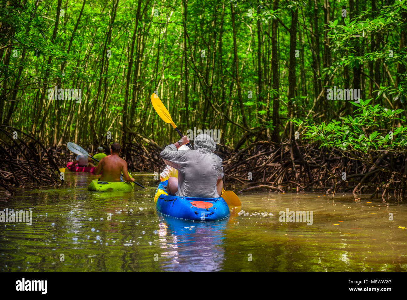 Gruppo di turisti kayak nella giungla di mangrovie Foto Stock