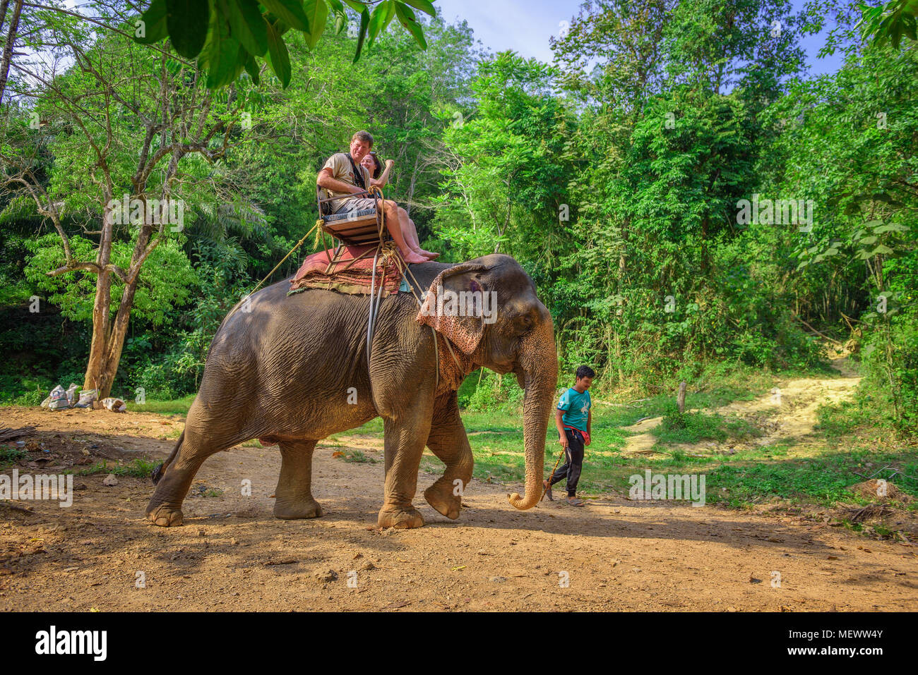 I turisti a cavallo di un elefante in Thailandia Foto Stock