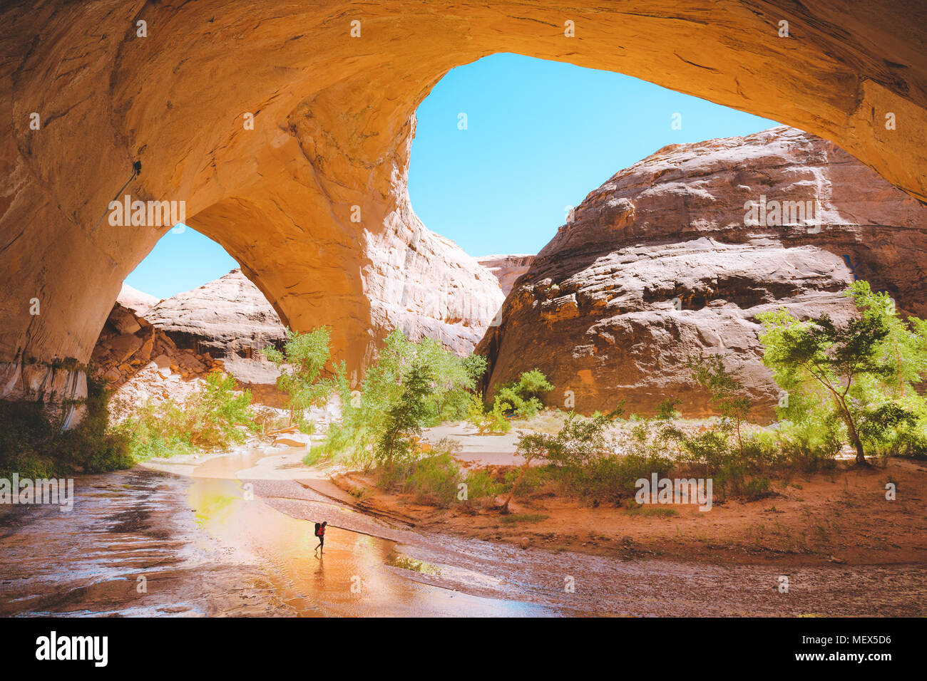 Escursionista backpacking in Coyote Gulch in una giornata di sole con cielo blu e nuvole in estate, Grand Staircase-Escalante monumento nazionale, Utah, Stati Uniti d'America Foto Stock