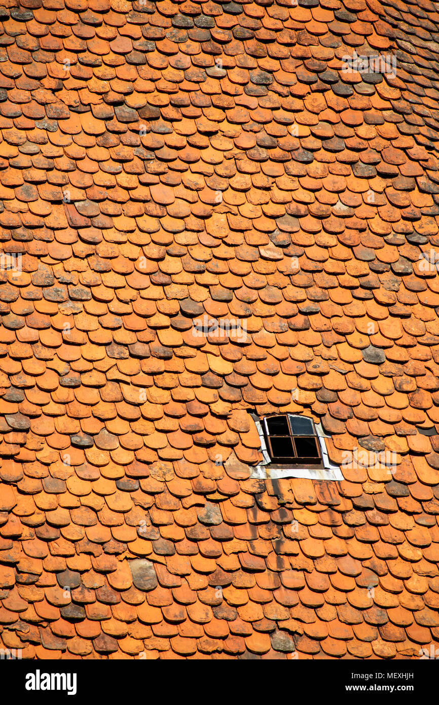 Housetop con gli storici a coda di castoro tegole in Büdingen, Hesse, Germania, Europa Foto Stock