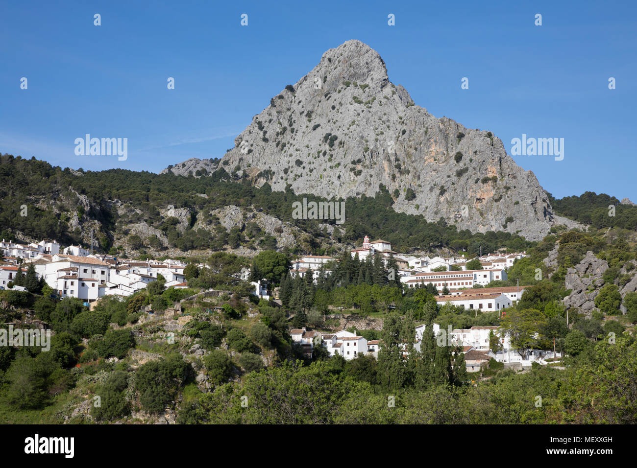 Vista su bianco andaluso villaggio tra le montagne, Grazalema, Sierra de Grazalema parco naturale, Andalusia, Spagna, Europa Foto Stock