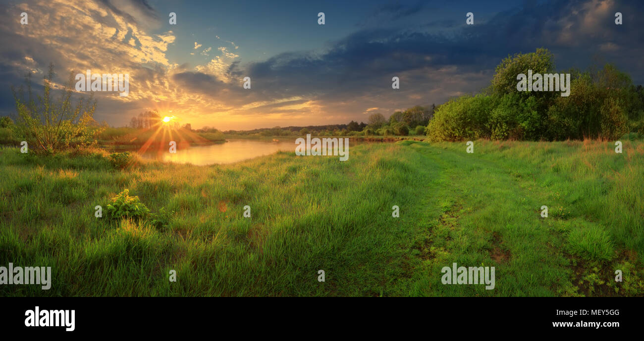 Sunny primavera la natura. Fresco di erba verde sul lungo fiume nella luce del sole di mattina. Foto Stock