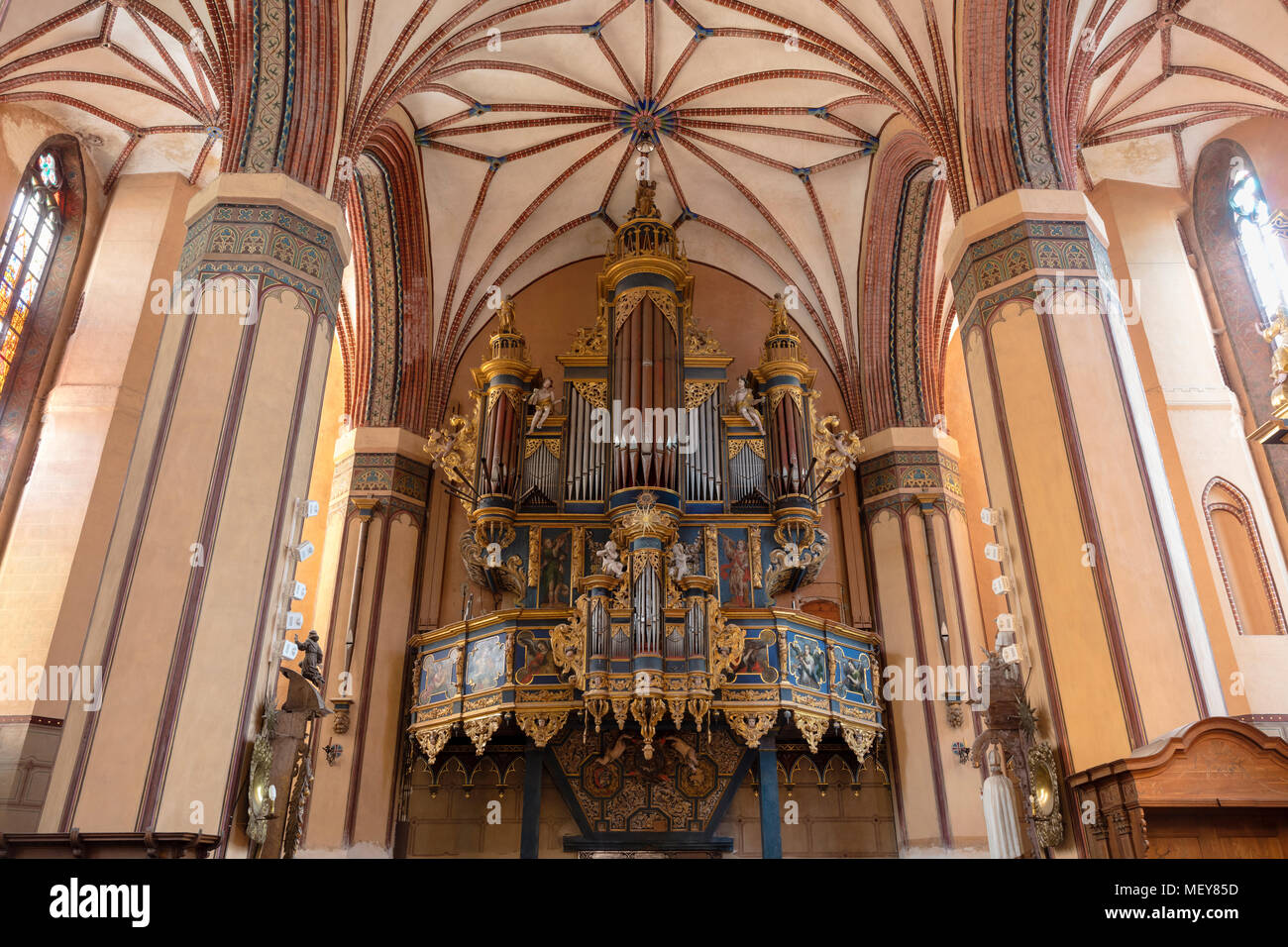 Frombork, interni di una cattedrale gotica, vault e organo, di Warmia, Polonia. Foto Stock