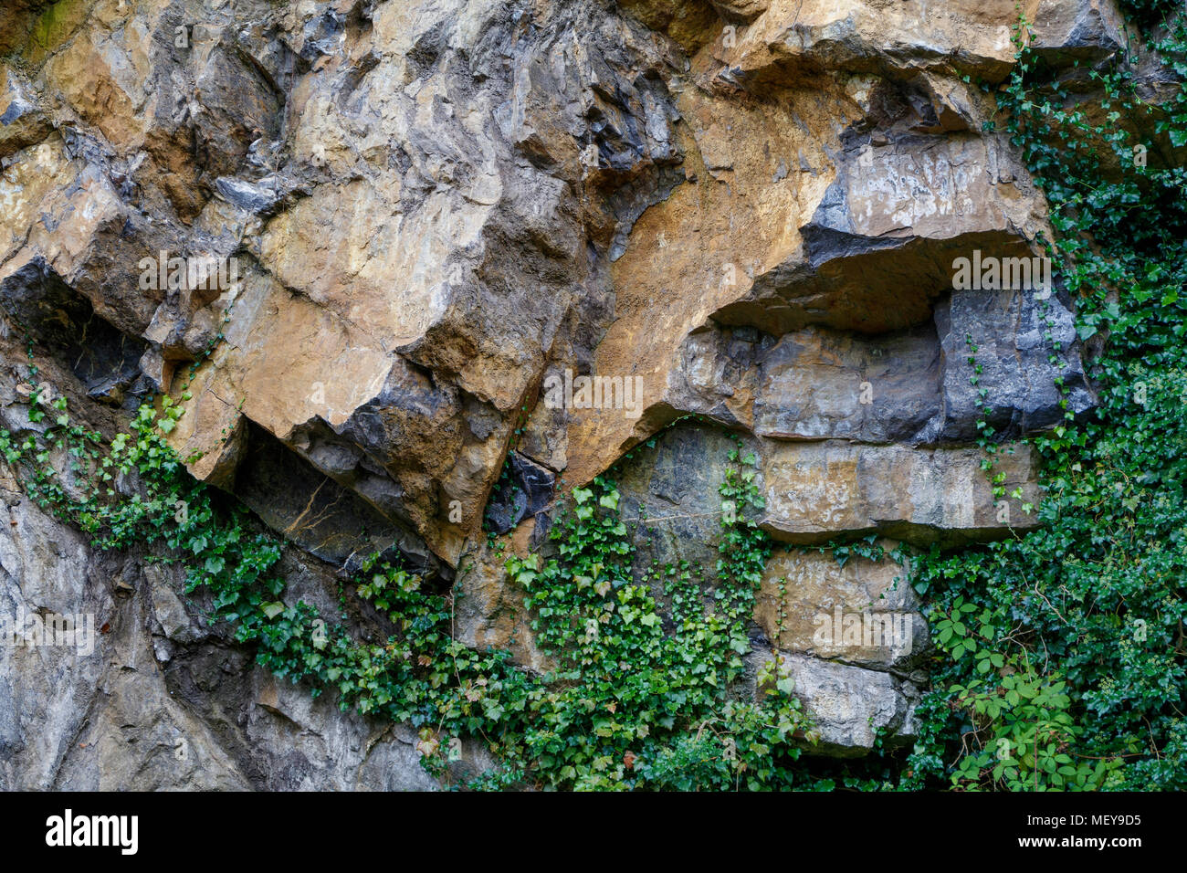 Formazione di roccia lungo il ramo di primavera Canal a Skipton, North Yorkshire, Regno Unito. Foto Stock