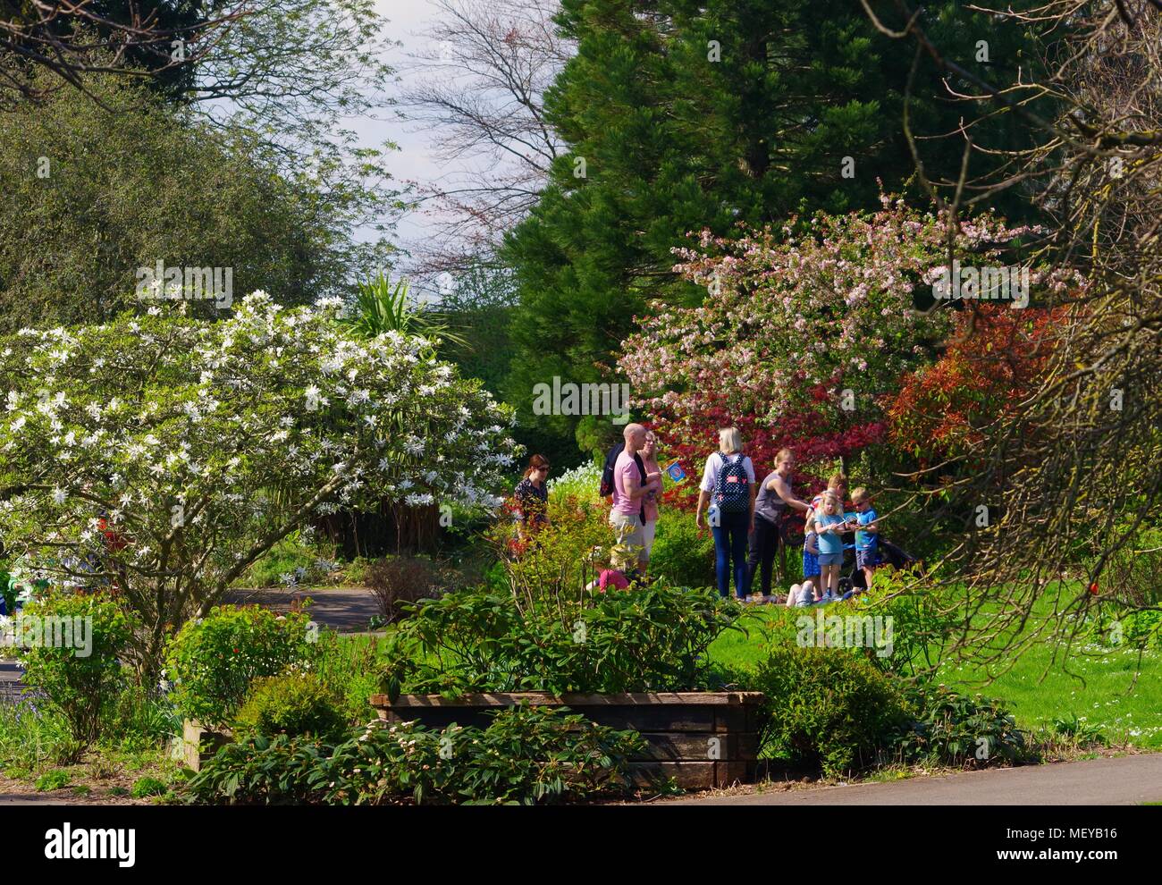 Famiglie Inglesi a piedi nel parco su una giornata di primavera. Rougemont giardini, Exeter, Devon, Regno Unito. Aprile, 2018. Foto Stock