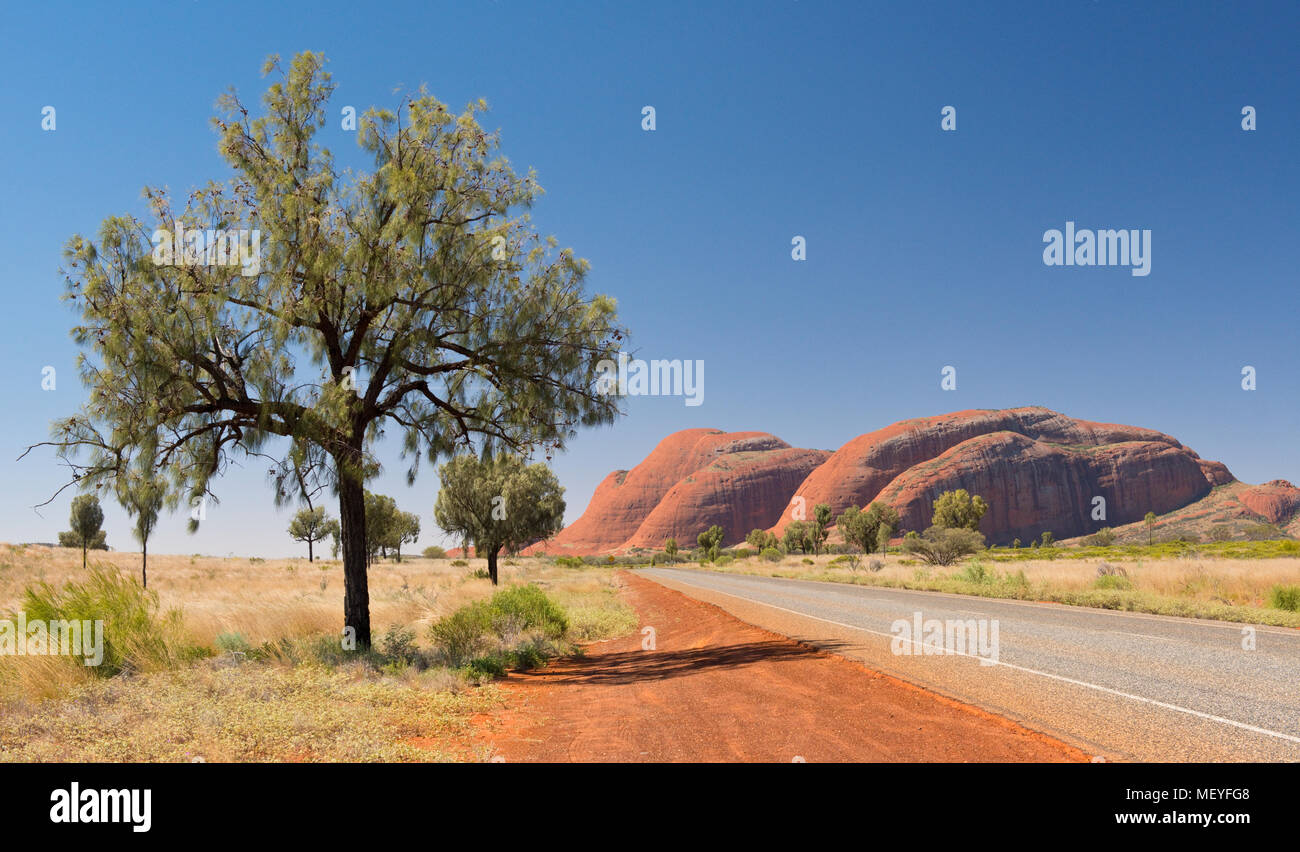 Strada per Kata Tjuta. Territorio del Nord, l'Australia Foto Stock