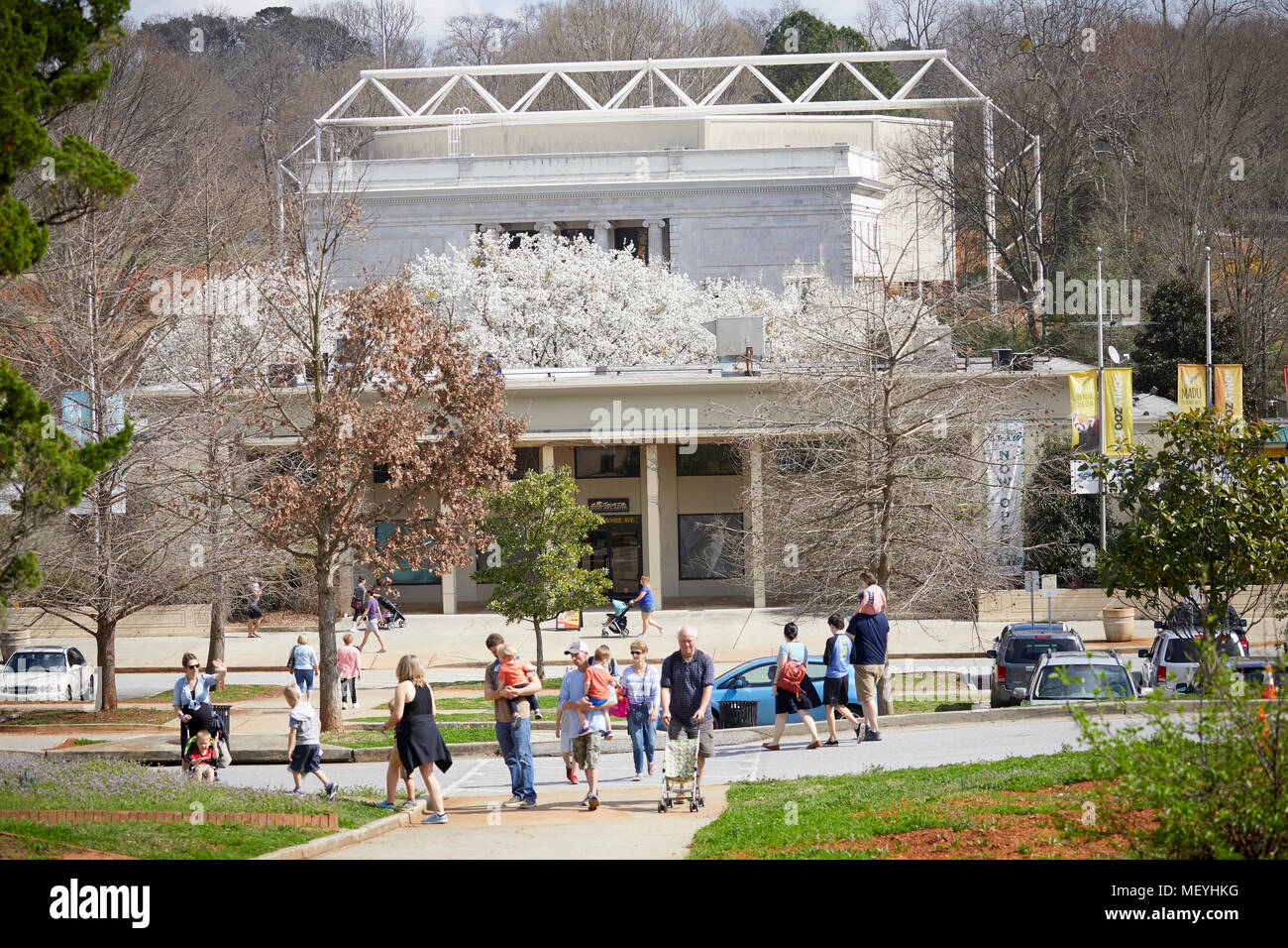 Atlanta capitale della condizione degli Stati Uniti della Georgia, Atlanta Zoo parco zoologico dell' elefante africano Foto Stock