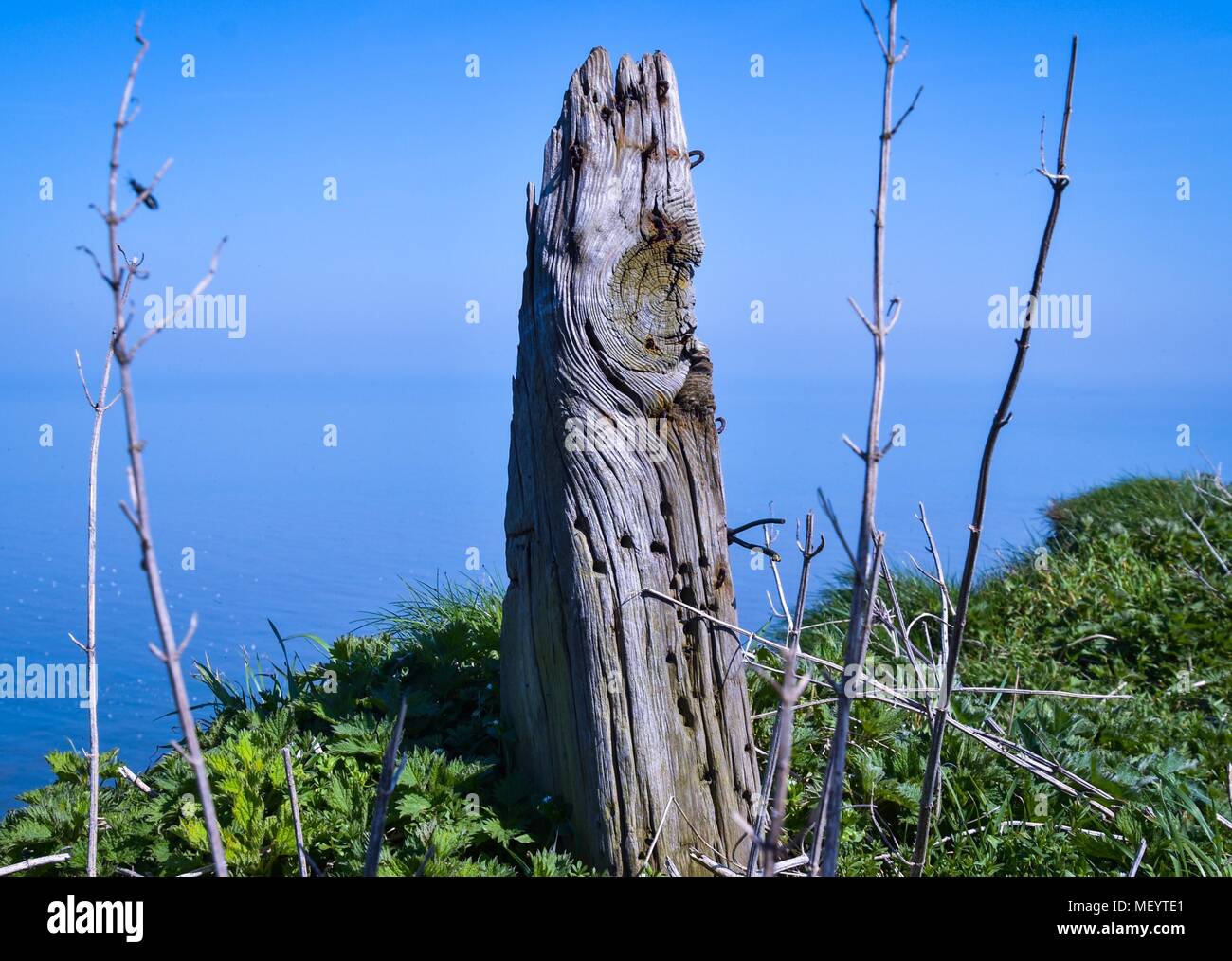 Antica recinzione posta sul ciglio della scogliera Foto Stock