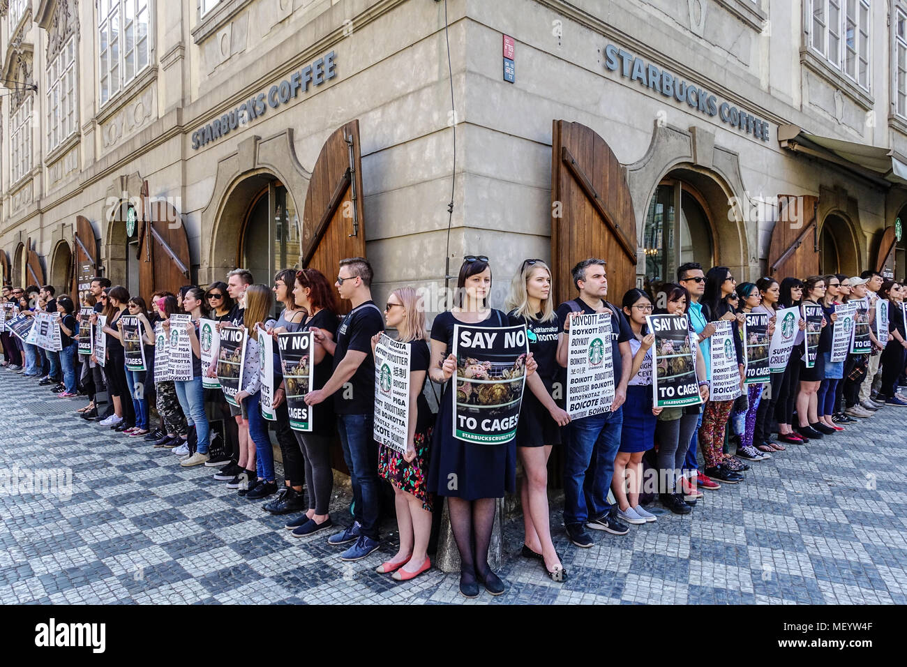 Gli avversari di caffè Starbucks catena sovranazionale hanno protestato davanti al café store, Malostranske namesti, Mala Strana, Praga, Repubblica Ceca Foto Stock