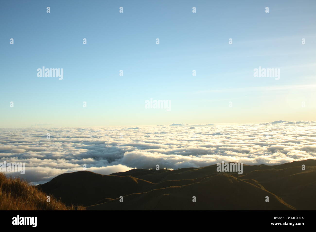 In alto di tutto il mondo Foto Stock