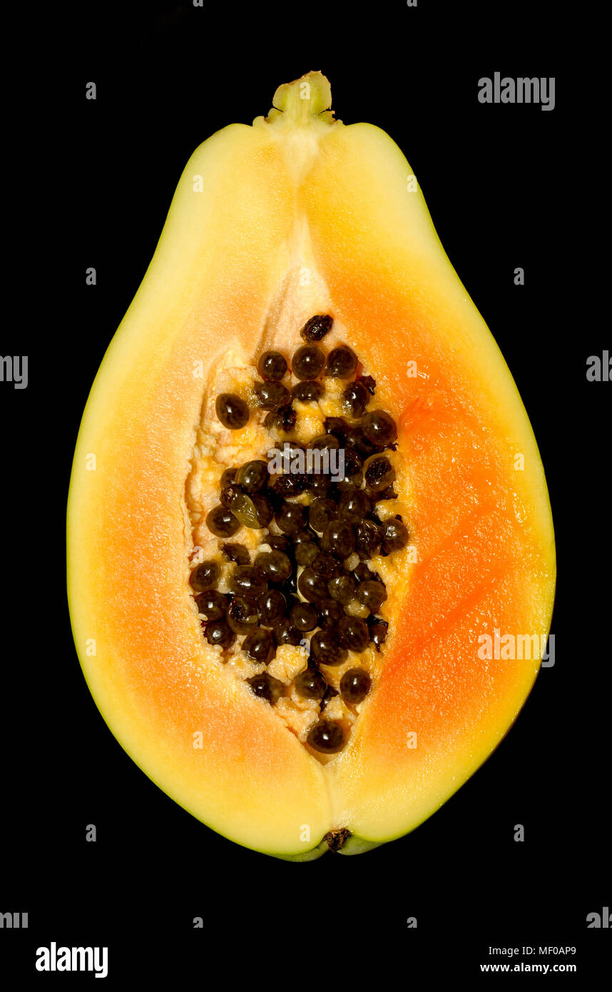Una papaia, Cerica papaia, acquistato da un supermercato in Inghilterra UK GB. La Papaya è originaria dell'America del Sud ed è anche noto come una papaia. Foto Stock