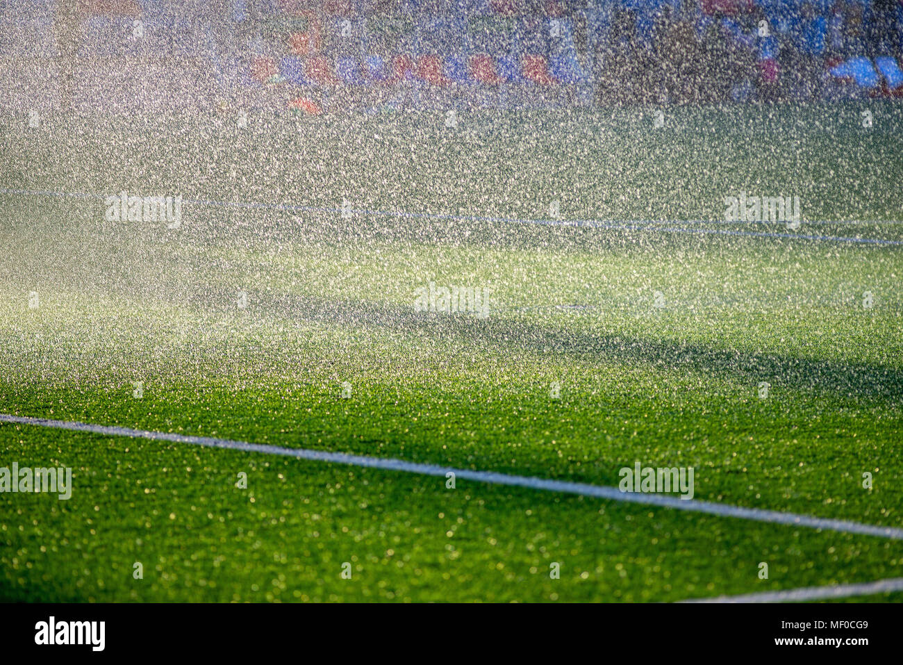 Tappeto erboso di irrigazione. Irrigazione sprinkler campo di calcio. Foto Stock