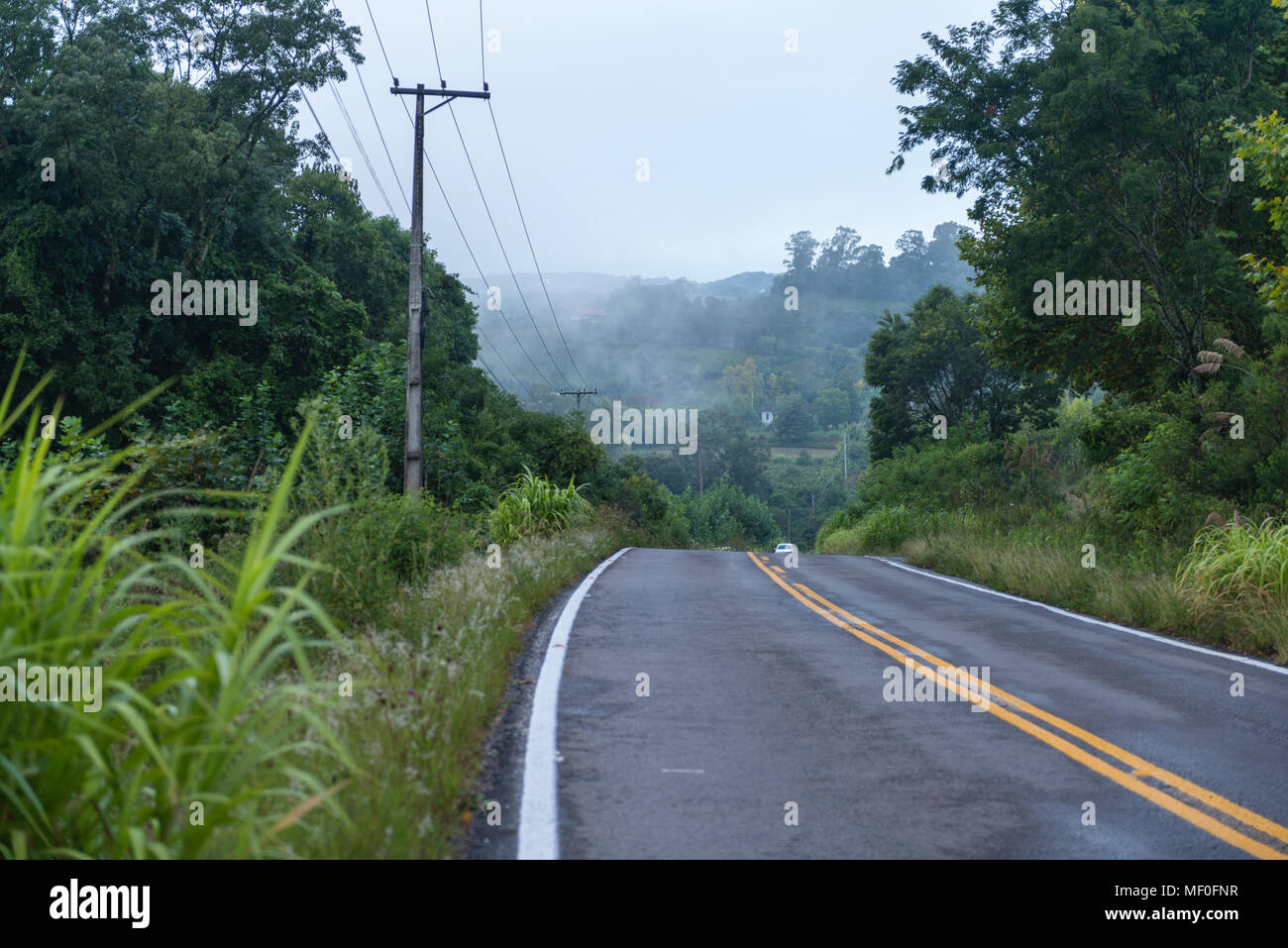 Strada a Boa Vista do Sul, nello stato di Rio Grande do Sul, Brasile, Sud America Foto Stock