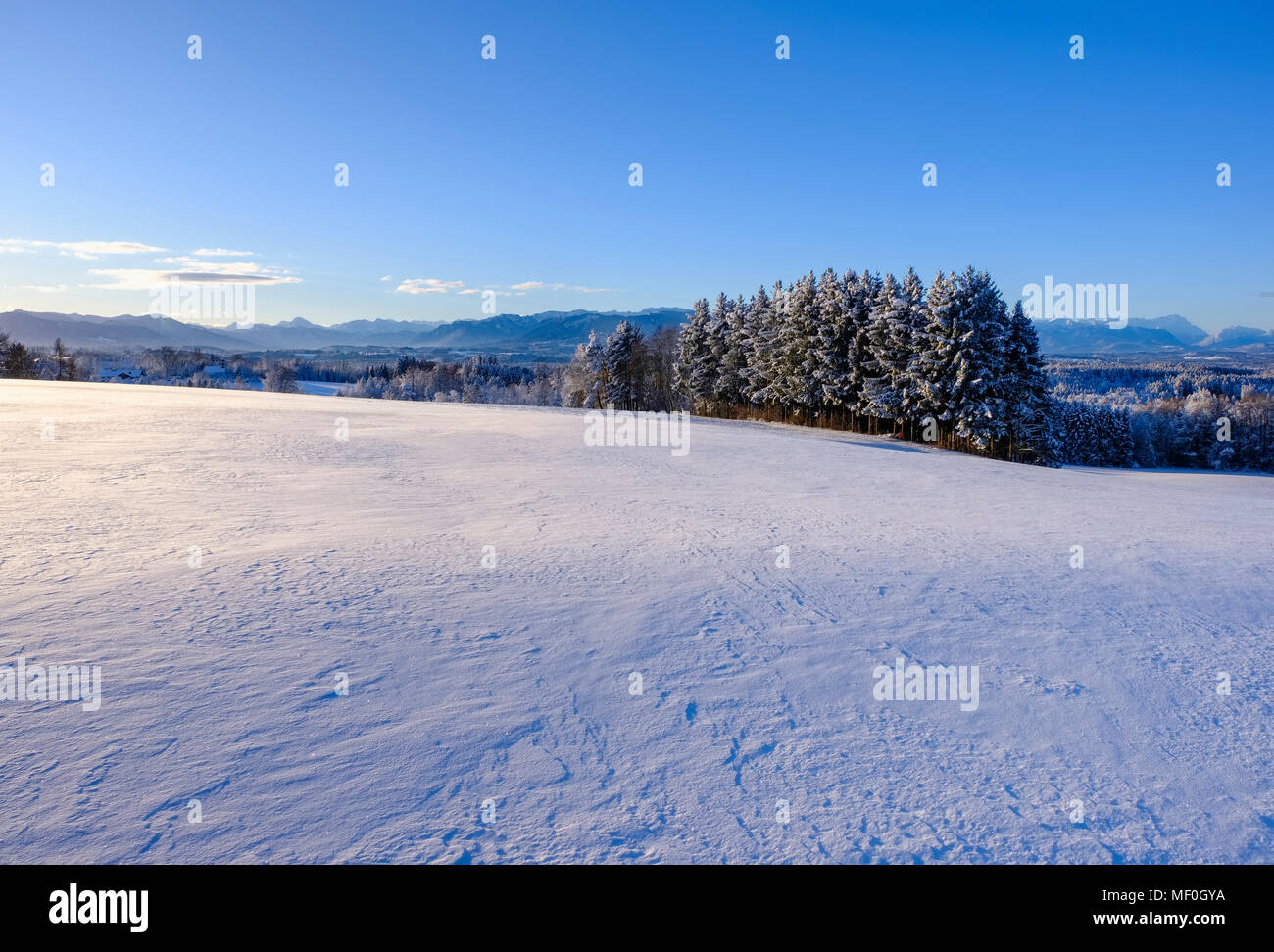 Ausblick von Peretshofener Höhe bei Dietramszell, Tölzer Land, Alpenvorland, Oberbayern, Bayern, Deutschland Foto Stock