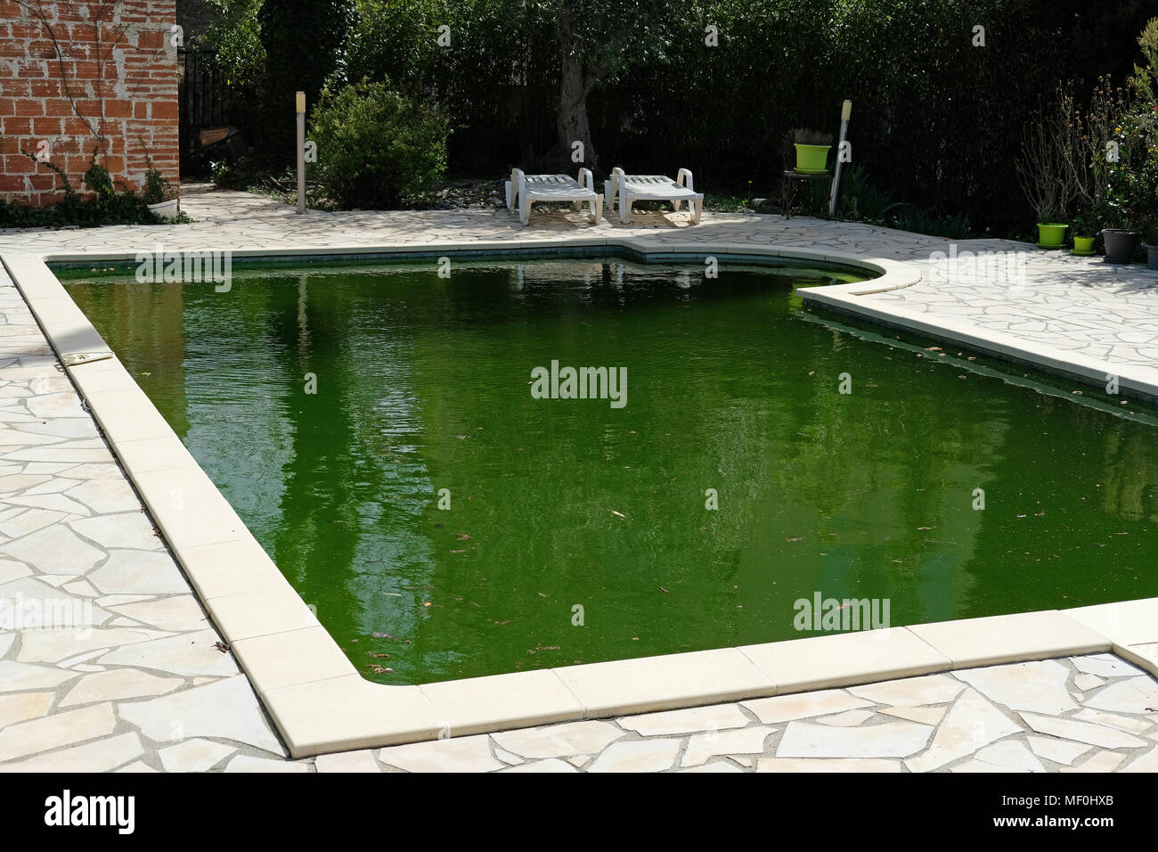 Un impuro piscina con acqua verde Foto Stock