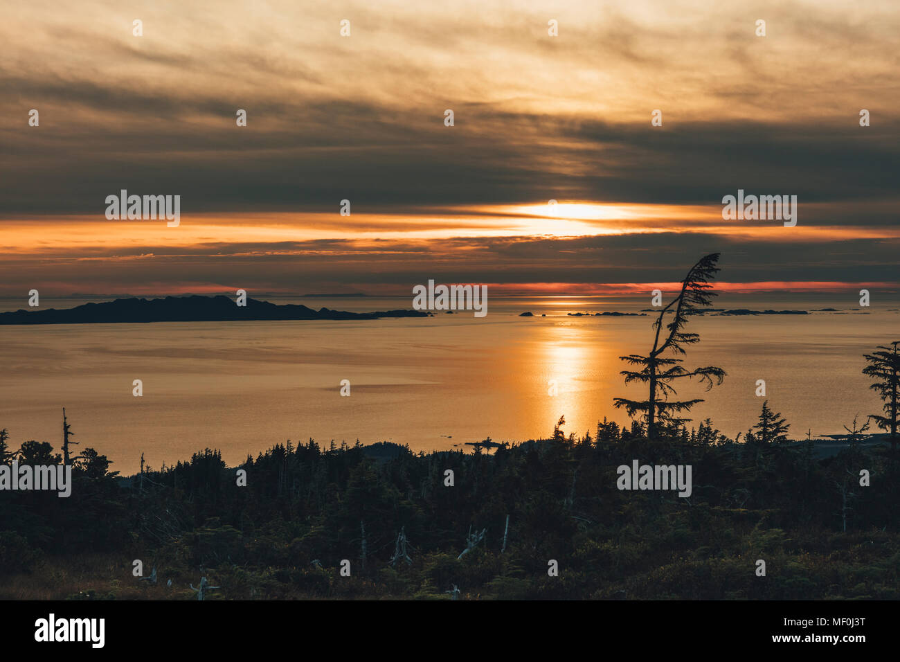 Canada, British Columbia, Kaien Island, Skeena-Queen Charlotte a monte Hays, Prince Rupert al tramonto Foto Stock