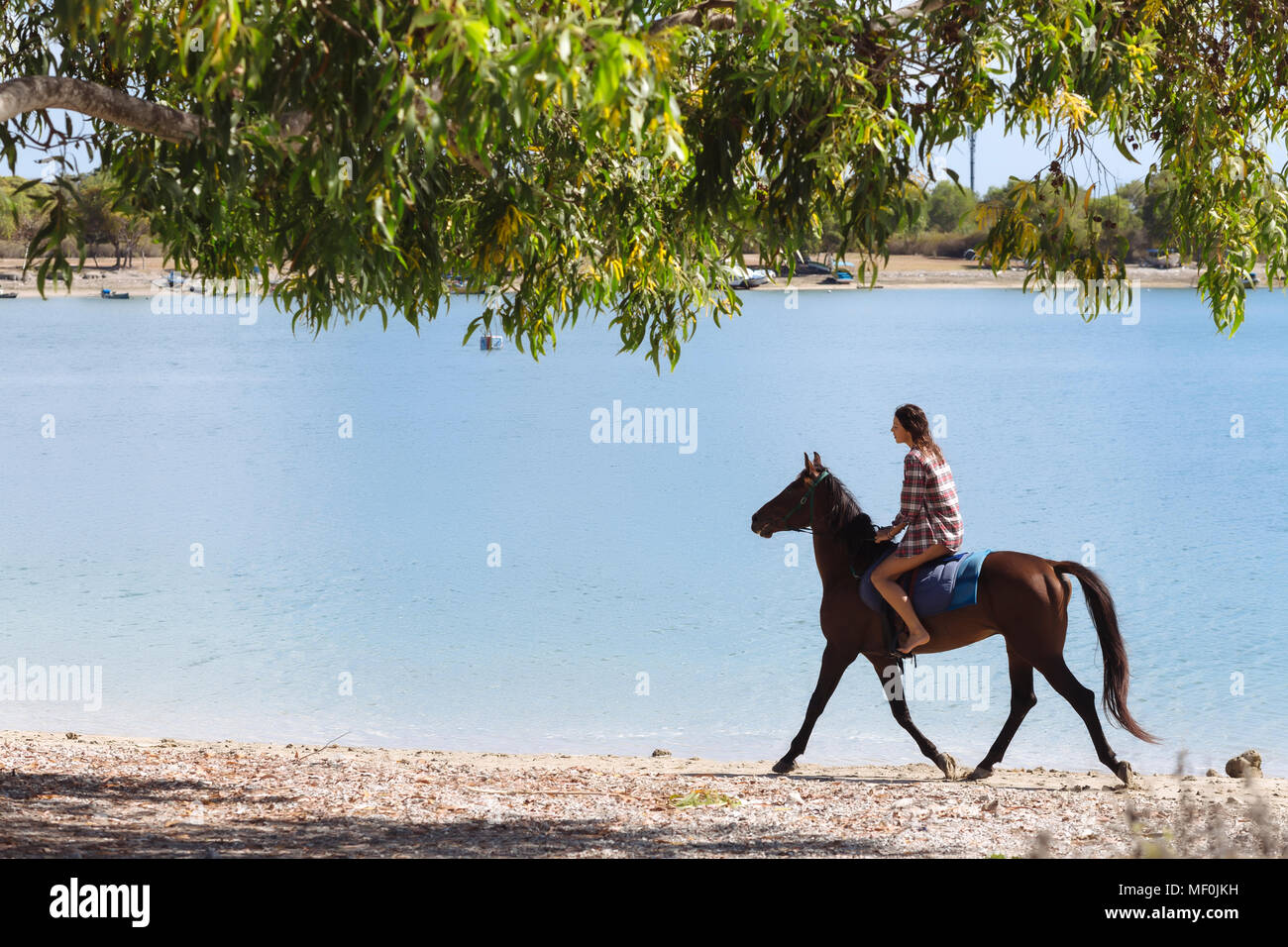 Indonesia, Bali, Donna a cavallo in spiaggia Foto Stock