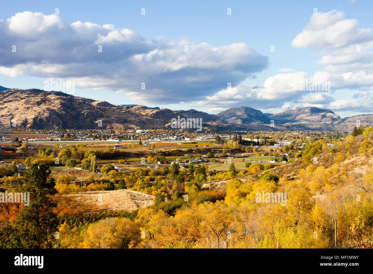 Scenic autunno vista del paesaggio rurale di Oliver situato nella Okanagan Valley della British Columbia, Canada. Foto Stock