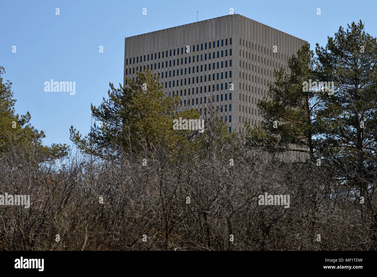Un ufficio torre sorge sopra gli alberi e arbusti Foto Stock