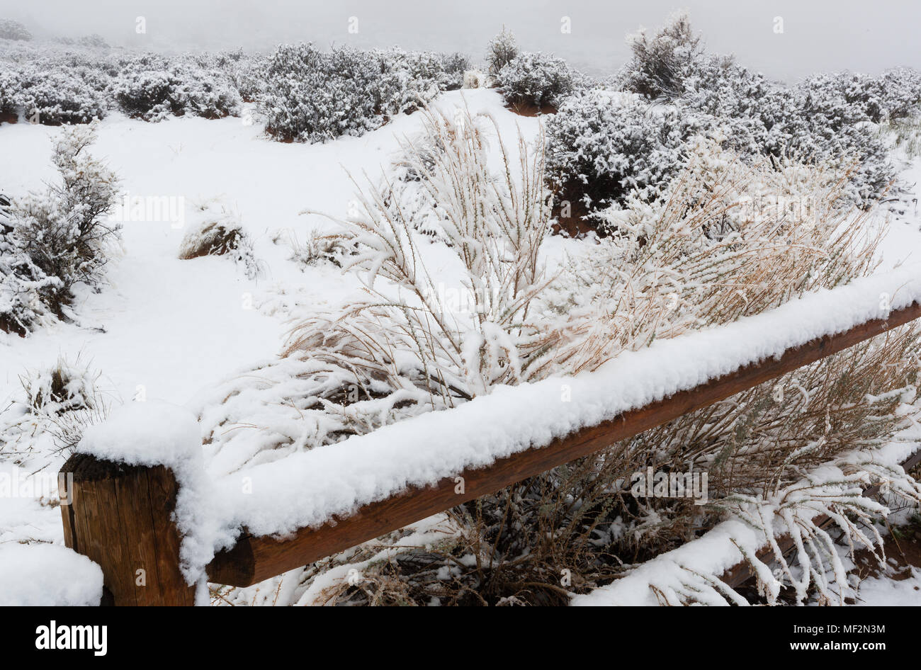 La neve fresca, il Parco Nazionale di Arches, Moab, Utah, Stati Uniti d'America Foto Stock