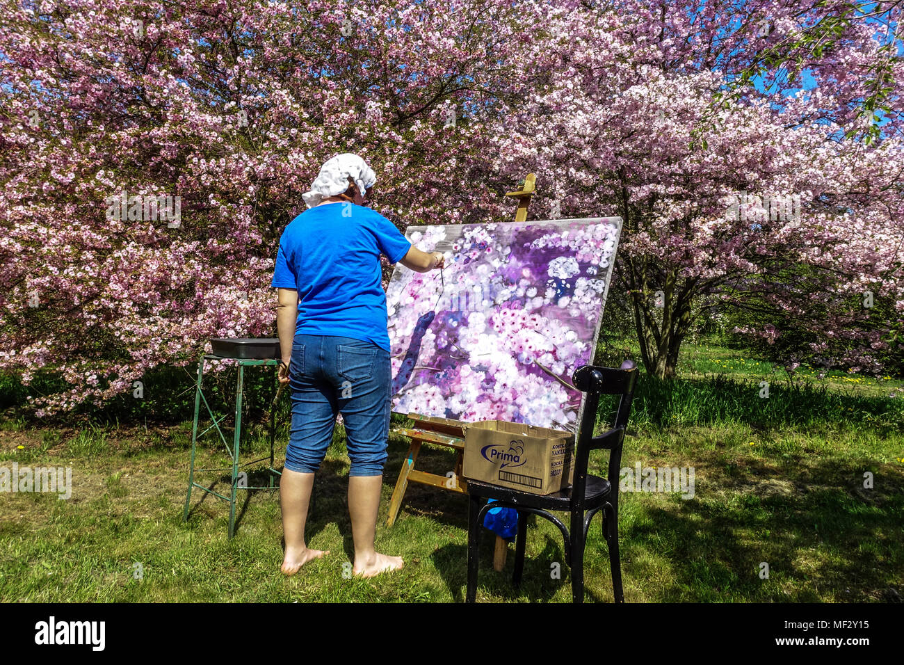 Una donna di dipingere un quadro dei ciliegi in fiore in un giardino Foto Stock