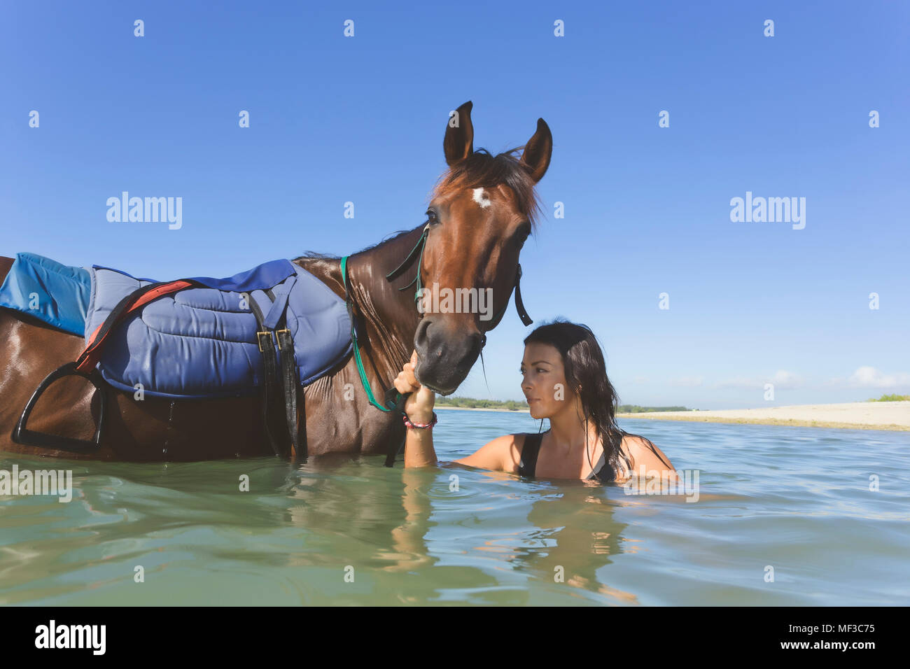 Indonesia, Bali, Donna con cavallo Foto Stock