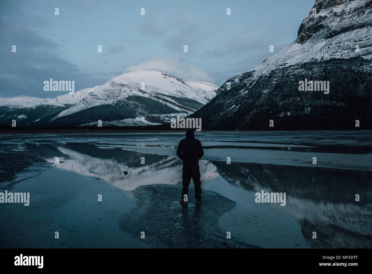 Canada, British Columbia, Monte Robson Provincial Park, l'uomo in piedi al lago Berg Foto Stock