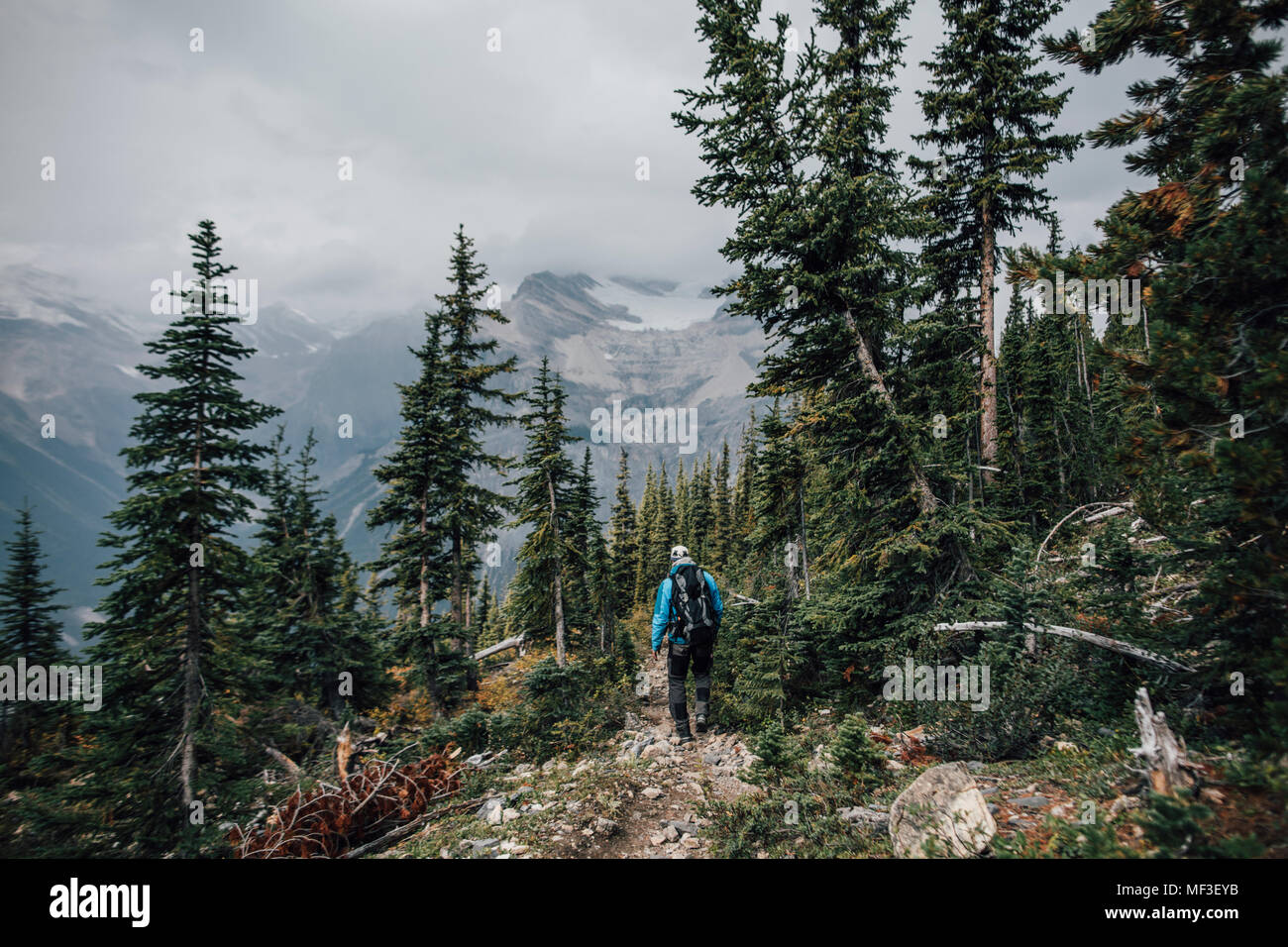 Canada, British Columbia, Parco Nazionale di Yoho, uomo escursionismo a Mount Burgess Foto Stock